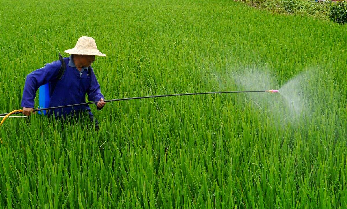 鑫源植保無人機(jī)為現(xiàn)代農(nóng)業(yè)助力
